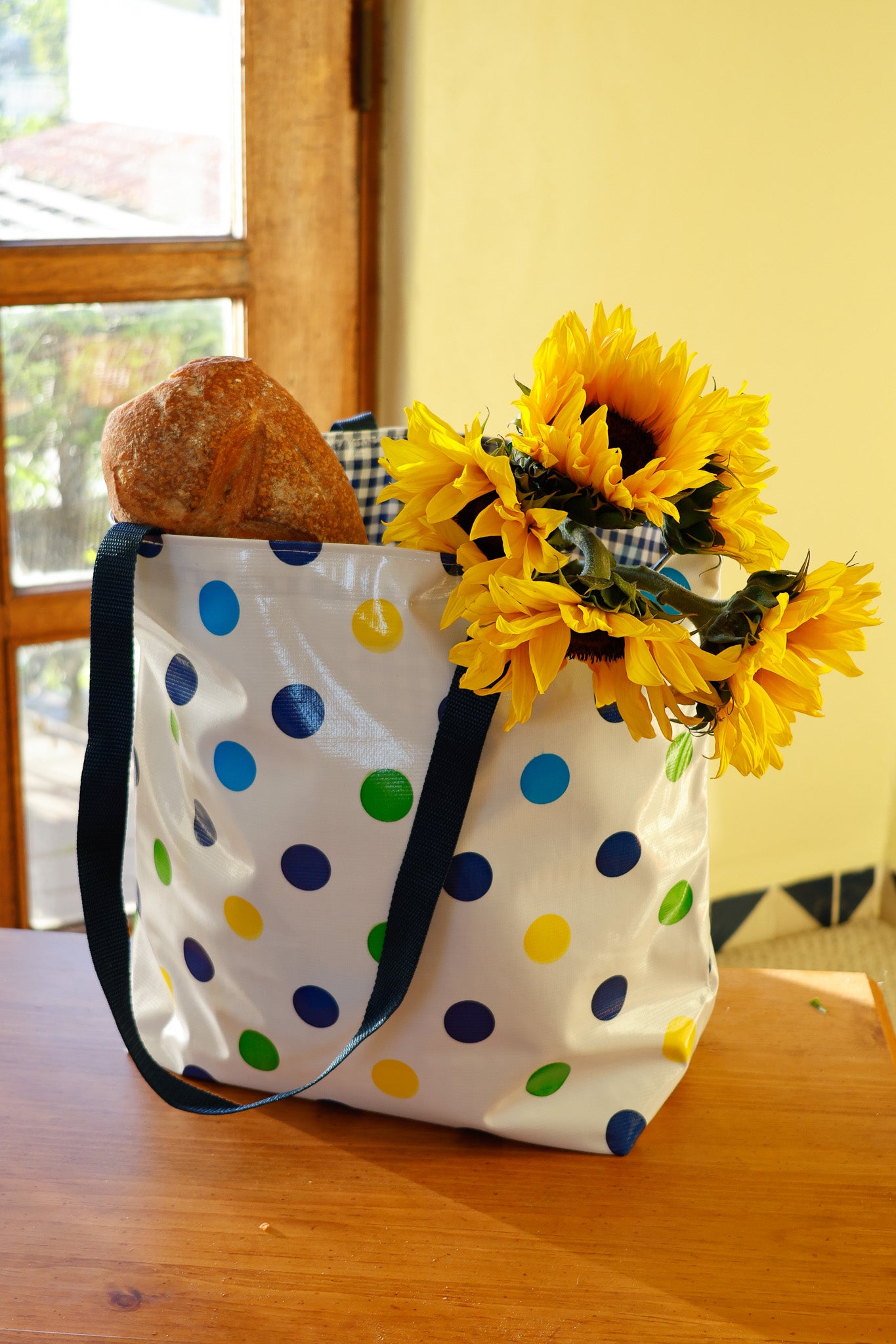 Reversible Oilcloth Totebag - Blue Confetti with Blue Gingham, Two Sizes